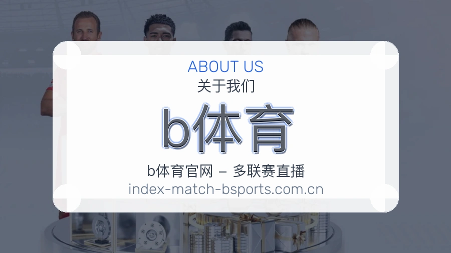 b体育关于我们图片